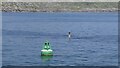 NL6896 : Sgeir a Scape buoy and beacon by Richard Webb