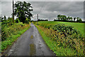 Bracken Road, Ballygowan