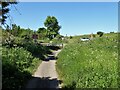 Cycle path following route of former railway