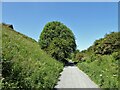 Cycle path following route of former railway