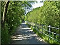 Cycle path following route of former railway