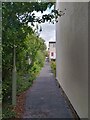 SU6052 : Kenilworth Road alleyway by Oscar Taylor