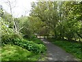 Severn Way  (NCN81), Llanllwchaiarn