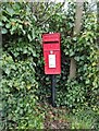 Elizabeth II postbox on the A456, Broombank