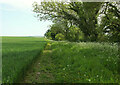 Footpath from Watts Hill