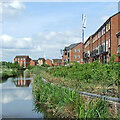 New canalside housing in Kidderminster, Worcestershire