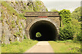 SK1272 : Rusher Cutting Tunnel portal by Richard Croft
