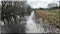 The River Stour Heading Towards Sudbury