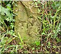 Benchmark cut into gatepost, Straight Lane, Burton Leonard