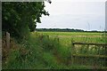 St Osyth Footpath 12 Heading for Little Clacton