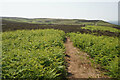 SE1346 : Path on Ilkley Moor by Bill Boaden