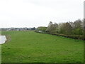 Grazing beside pond, Grimley