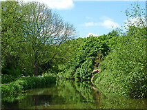 SO8273 : Staffordshire and Worcestershire Canal south of Kidderminster by Roger  D Kidd