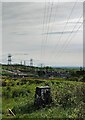 Triangulation pillar, White Hill, Dunbartonshire