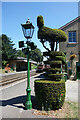 SU6232 : Topiary and Lamp, Ropley Station by Des Blenkinsopp