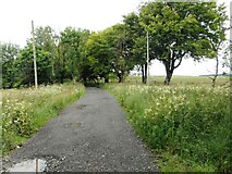 NS3563 : Road to Ward Farm by Richard Sutcliffe