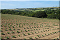 Farmland, Mawgan-in-Pydar