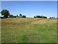 Shereford Common