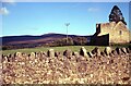 S2331 : Roofless stand these ancient walls - Kiltinan, County Tipperary by Martin Richard Phelan