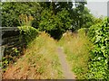 Footpath on a bridge over a disused railway, Wyke