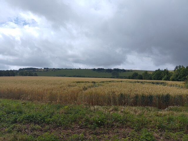 Farmland north of Walbury Hill © Oscar Taylor cc-by-sa/2.0 :: Geograph ...