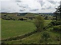 Fields near Tan-y-Graig