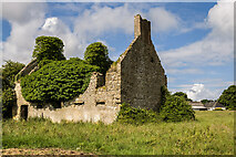 N1529 : Ruined house at Tumbeagh, Co. Offaly (1) by Mike Searle