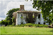 N2220 : Derrymore House, Coolanarney, Blue Ball, Co. Offaly (2) by Mike Searle