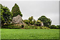 S0797 : Castles of Leinster: Rathmore, Offaly (1) by Mike Searle