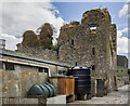 R9480 : Castles of Munster: Ballymackey, Tipperary (1) by Mike Searle