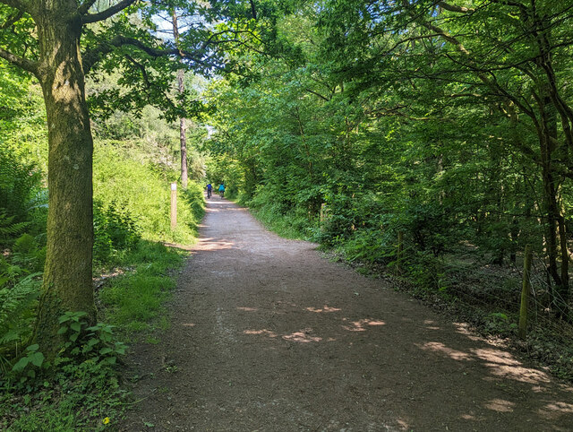 Family Cycle Trail, Forest of Dean © Robin Webster cc-by-sa/2.0 ...