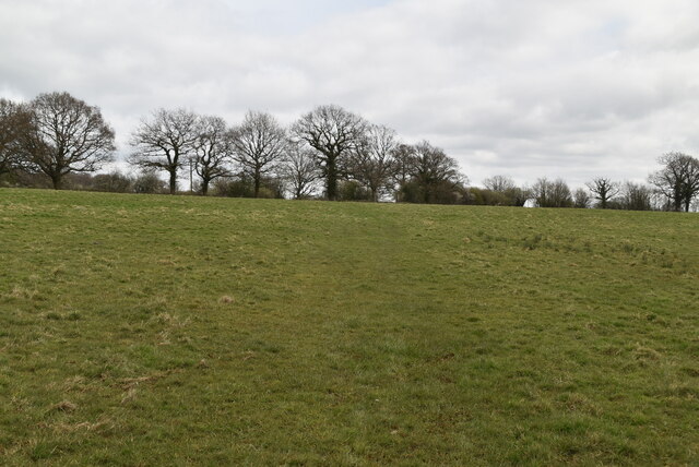 Pasture © N Chadwick :: Geograph Britain and Ireland