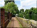 SU9973 : The Thames Path at Runnymede by Steve Daniels