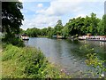 SU9973 : The River Thames at Runnymede by Steve Daniels