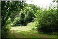 Footpath near The Dell