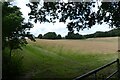 Hay field beside footpath MR425