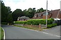 Houses on Stone Street Road