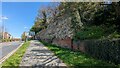 Roman City Wall, Colchester