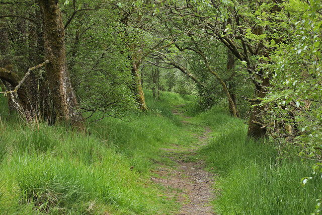 The Ettrick Marshes Nature Trail © Walter Baxter cc-by-sa/2.0 ...