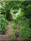 SO8480 : Steep steps down through the trees to the River Stour by Jeff Gogarty