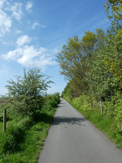 Cycle route (NCN568) by marshes south of... © David Smith cc-by-sa/2.0 ...