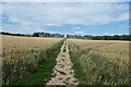 TQ5262 : Darent Valley path crossing a field by DS Pugh