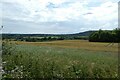 Fields below the bridleway