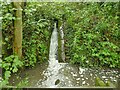 Stream near Bogs Lane bridge