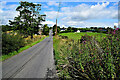 Corradinna Road, Tattysallagh