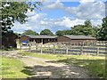 Newly-constructed stables and horse training area