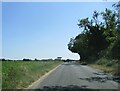 Approaching  Foulden  on  the  minor  road  from  Oxborough