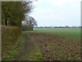 Footpath 48 Shalford