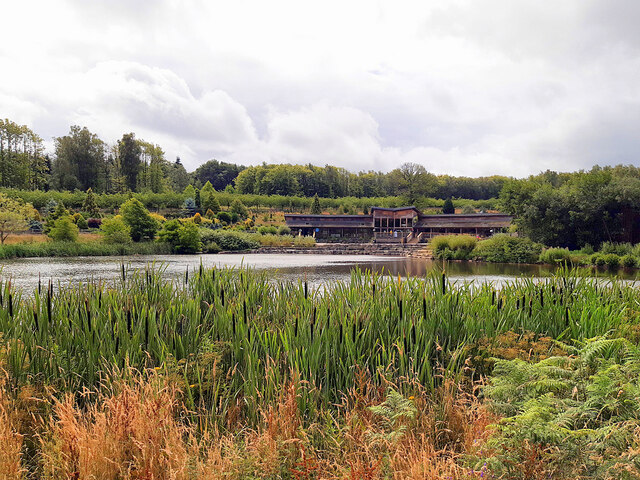 Bedgebury National Pinetum © Andrew Curtis :: Geograph Britain And Ireland