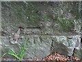 Benchmark on roadside wall, Adel, Leeds